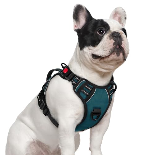 rabbitgoo Dog Harness Small Sized Dog, No Pull Pet Harness with Soft Padded Handle, Adjustable Reflective Vest with 3 Buckles, Easy Walking Harness with 2 Leash Clips, Green, S - color: Green, size: Small