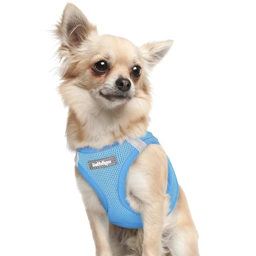 rabbitgoo Small Dog Harness, Step-in Soft Mesh Puppy Vest with Safety Buckle, Breathable Reflective Pet Harness for Extra Small Dogs, Blue XXXS - color: Blue, size: Xxxs(chest:10.8"-11.8")