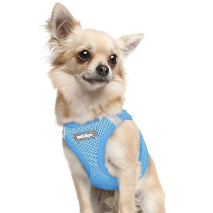 rabbitgoo Small Dog Harness, Step-in Soft Mesh Puppy Vest with Safety Buckle, Breathable Reflective Pet Harness for Extra Small Dogs, Blue XXXS - color: Blue, size: Xxxs(chest:10.8"-11.8")