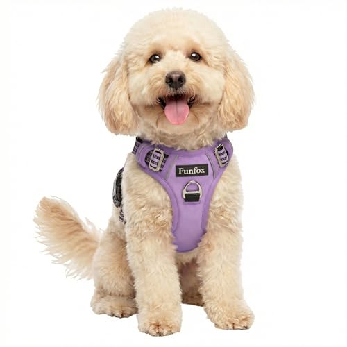 Funfox Dog Harness No Pull, Adjustable Pet Vest Harness, Super Soft Material with Vertical Handle Easy Control, Reflective Night Walking, 2 Leash Clips for Small Sized Dogs, Purple, S - color: Purple, size: Small