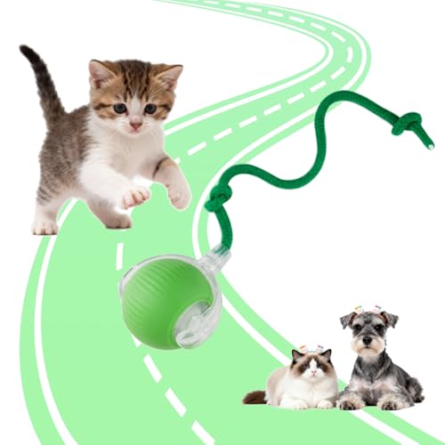 KumCinn Interactive Dog Ball for Small Medium Dogs, Automatic Self Moving Cat Toys Ball for Indoor Cats, 360° Rolling Electric Pet Ball, Fast Smart Motion Activated Toy (Green) - color: Green