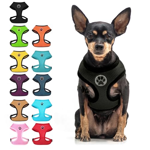BINGPET Small Dog Harness, No Pull Dog Harness Small Sized Dogs, Soft Light Breathable Mesh Puppy Vest with Safety Buckle-Adjustable Step in Pet Harnesses for Easy Walking, Running, Training - color: Black, size: S (NECK: 12", CHEST: 14"-18")