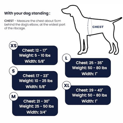 Non-Restrictive Dog Harness, Easy Walk Freedom No Pull Harness, Keep Balance, Neck-Buckle, Six Points Adjustment, 2 Leash Clips for Back and Front Clip (Blue/Black, X-Small) - color: Blue/Black, size: XS