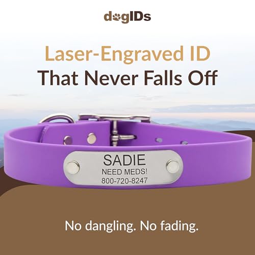 dogIDs Personalized Dog Collar – Custom Waterproof Soft-Grip Biothane with Laser-Engraved Nameplate, Durable & Odor-Resistant, USA Made | Amethyst, 1 in x 16 in (Fits Necks Size 14-18 in) - color: Amethyst, size: 1 in x 16 in (Fits Necks Size 14-18 in)
