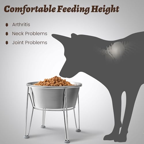 Elevated Dog Bowls for Medium&Small Dogs - Stainless Steel 48oz/6 Cups Raised Feeder with Non-Slip Base, Dual Food & Water Bowls 2-Pack - color: Raised Bowl, size: 6 Cups
