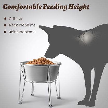Elevated Dog Bowls for Medium&Small Dogs - Stainless Steel 48oz/6 Cups Raised Feeder with Non-Slip Base, Dual Food & Water Bowls 2-Pack - color: Raised Bowl, size: 6 Cups