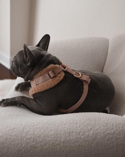 Premium No-Pull Dog Harness Soft Neoprene & Breathable Mesh Vest with Front & Back Clip D-Rings Adjustable Lightweight Walking Harness for Puppies, Small & Medium Dogs (Beige Fur Trim, XS) - color: Beige Fur Trim, size: XS: Neck 10.6-14.2'', Chest 14.2-18