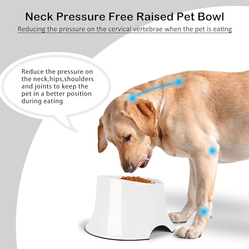 Tilted Elevated Dog Bowls Non-Slip & Non-Spill Pet Feeder with Elevated Detachable Melamine Stand, High Capacity Tilted Dog Bowl for Medium Small Size Dogs M/2 Cup White - color: White, size: M/2 Cup