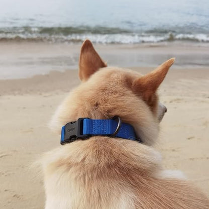 Premium Classic Nylon Adjustable Dog Collars,Soft and Smooth Regular 5/8 Inch Wide Dog Collars with Quick Release Buckle for Puppy Dogs Walking,Training.(Small, Classic Blue) - color: Classic Blue, size: Small 11-14 Inches