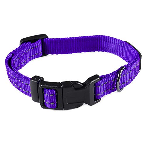 Max and Neo NEO Nylon Buckle Reflective Dog Collar - We Donate a Collar to a Dog Rescue for Every Collar Sold (X-Small, Purple) - color: Purple, size: Extra Small