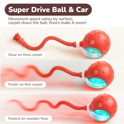 Interactive Cat Toy Ball for Indoor Cats – Fast Rolling on Carpet, Motion Activated with Chirping Sounds, Smart Play Toy (Crimson) - color: Crimson