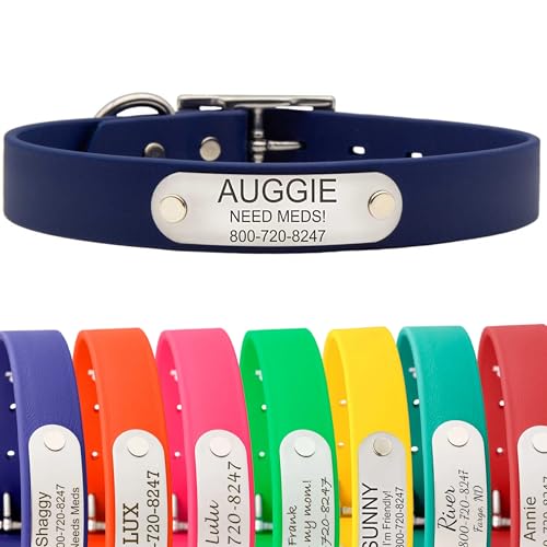 dogIDs Personalized Dog Collar – Custom Waterproof Soft-Grip Biothane with Laser-Engraved Nameplate, Durable & Odor-Resistant, USA Made | Navy, 1 in x 16 in (Fits Necks Size 14-18 in) - color: Navy, size: 1 in x 16 in (Fits Necks Size 14-18 in)