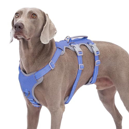 Huntboo Escape Proof Dog Harness, No Pull Reflective Harness with Lift Handle, Adjustable Pet Vest with Front and Back Leash Clips for Small Medium Large Dogs Walking Hiking Training (Vista Blue,L) - color: Vista Blue, size: Large(Pack of 1)