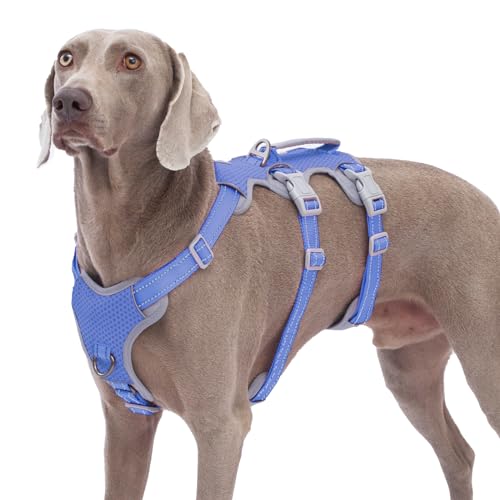 Huntboo Escape Proof Dog Harness, No Pull Reflective Harness with Lift Handle, Adjustable Pet Vest with Front and Back Leash Clips for Small Medium Large Dogs Walking Hiking Training (Vista Blue,L) - color: Vista Blue, size: Large(Pack of 1)