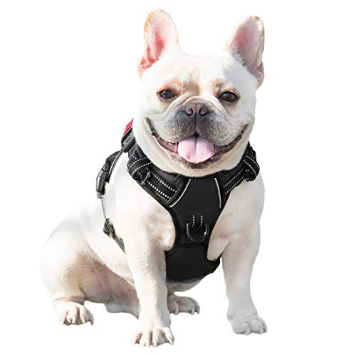 PHOEPET No Pull Dog Harnesses for Small Dogs Reflective Adjustable Front Clip Vest with Handle 2 Metal Rings 3 Buckles [Easy to Put on & Take Off](XS, Black) - color: Black, size: Extra Small