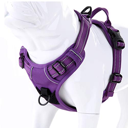 JUXZH Truelove No Pull Dog Harness with Easy Control Handle and 2 Leash Attachments,Reflective Adjustable Pet Vest - color: purple, size: X-small (Pack of 1)