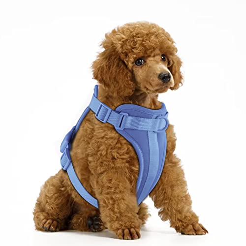 No Pull Lightweight Dog Harness: Adjustable Breathable Pet Vest Harness with Soft & Comfortable Cushion for Small Medium Large Dogs (XS, Blue) - color: Blue, size: XS:Neck=10"-12"/Chest=13"-16"