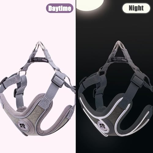 Large Dog Harness and Leash Set,No Pull Adjustable Step in Soft Mesh Vest Harness,Easy Walk Reflective Pet Harness with Padded Handle for Walking Training Small Medium Large Dogs and Cats (Grey, L) - color: Grey, size: L