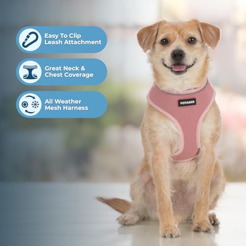 Voyager Aerolite Over the Head Dog Harness, No Pull Breathable Air Mesh Vest, Quick Dry with Reflective Stitching, Adjustable Escape Resistant Harness for Small Medium Large Dogs - Pink, Large - color: Pink, size: L