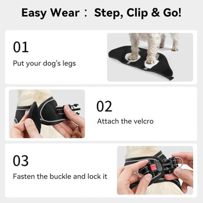 Joytale Small Dog Harness, Breathable Mesh Step-in Vest, Reflective Soft Padded Harnesses for Cats, Puppies and Extra Small Dogs, Black, XXS - color: Black, size: XXS--Chest: 12-13.5''