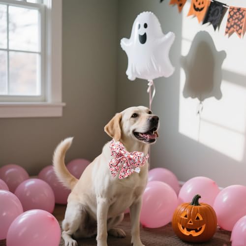 DOGWONG Cotton Fall Dog Collar, Pink Halloween Dog Collar with Bow Cute Pink Pumpkin Girl Dog Collars Puppy Necklace for Female Small Medium Large Dogs - color: ghost Pumpkin, size: XS