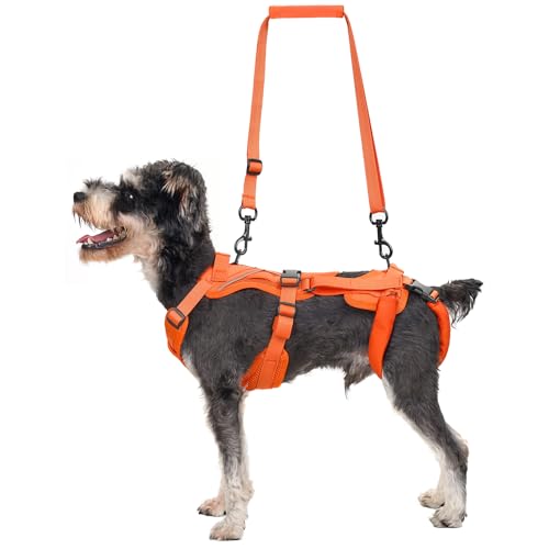 OneTigris Lift Harness for Small Dogs XS, Sling Carrier to Help Lift and Walk, Outdoor Full Body Support with Reflective Straps for Back Legs - color: Orange, size: Small
