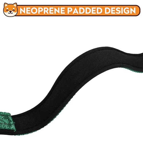 Reflective Dog Collar, Adjustable Soft Neoprene Padded Nylon Pet Collars with Buckle for Puppy and Small Dogs, Cats, Dark Green,XS - color: Dark Green, size: X-Small