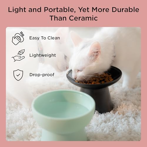 Necoichi 2pcs Elevated Cat Water Bowls with Measurement – BPA-Free Plastic Raised Bowls to Reduce Whisker & Neck Fatigue – Dishwasher Safe – Non-Slip, Anti-Vomiting (Bloomy) - color: Green and Pink (Bloomy)