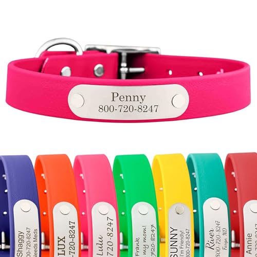 dogIDs Personalized Dog Collar – Custom Waterproof Soft-Grip Biothane with Laser-Engraved Nameplate, Durable & Odor-Resistant, USA Made | Magenta, 1 in x 16 in (Fits Necks Size 14-18 in) - color: Magenta, size: 1 in x 16 in (Fits Necks Size 14-18 in)