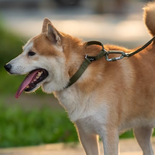 Martingale Dog Collar Medium Green |Escape - Proof Heavy Duty Nylon Durable No Slip, Ideal for Training & Daily Walks - color: Army Green, size: Medium