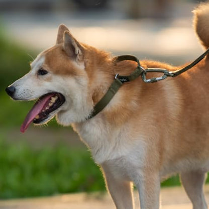 Martingale Dog Collar Medium Green |Escape - Proof Heavy Duty Nylon Durable No Slip, Ideal for Training & Daily Walks - color: Army Green, size: Medium