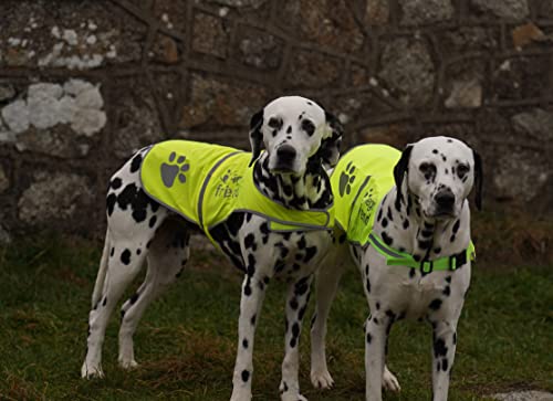 Safety Reflective Vest for Dogs - High Visibility for Outdoor Activity Day and Night, Protect Your Pet from Cars & Hunting Accidents - size: L