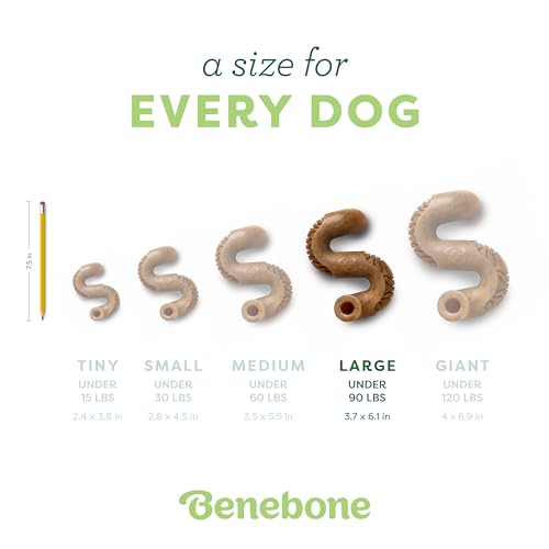 Benebone Tripe Bone Durable Dog Chew Toy for Aggressive Chewers, Real Tripe, Made in USA, Large - size: Large 1-Pack, style: Chew Toy