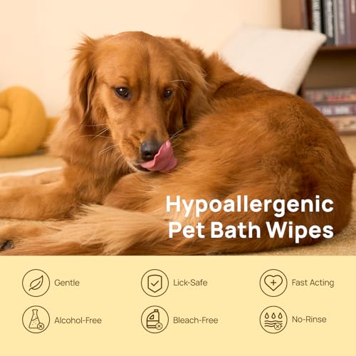 HICC PET Cleaning Deodorizing Glove Wipes for Dogs & Cats, Vet Recommended Hypoallergenic Hydrating & Nourish Fur Pet Grooming Glove Wipes, Pet Bathing Wipes for Horse Coat Care,20pcs Unscented - size: 20 PCS