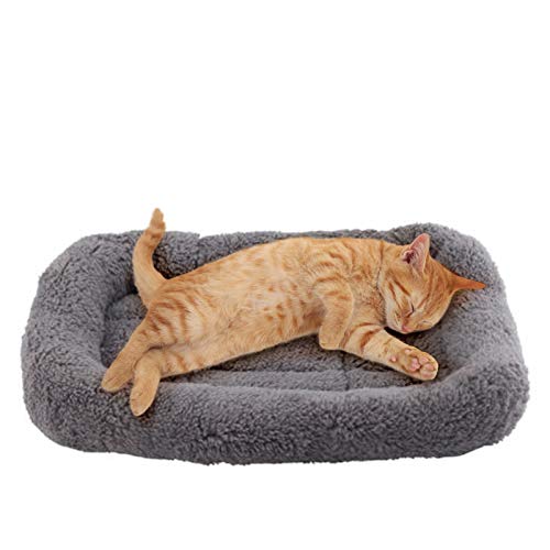 Cat Mat Bed 10" x 15" Pet Bed with Pillow Around for Puppy Kitten Curled Sleeping Beds for Carrier/Crate Small Dog Cushion, Anti Skid Bottom, Small - size: Small(Rectangular)