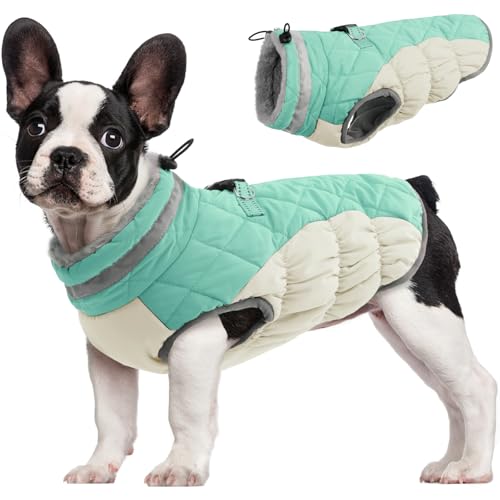 FUAMEY Dog Coat for Small Dogs,Waterproof Dog Winter Jacket with Harness Built in Puppy Cold Weather Coats Reflective Pet Vest with Zipper Warm Fleece Dogs Snowsuit Windproof Mint Green XS - color: Mint Green, size: XS(chest:14in)