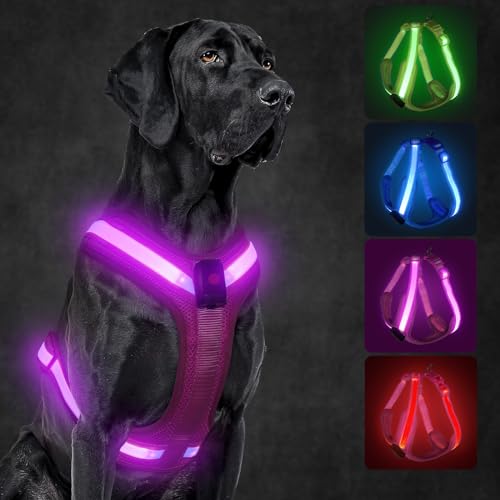 Light Up Dog Harness, LED Dog Harness Rechargeable, Glow in the Dark, LED Dog Vest Reflective, Light Up Harness for Dogs, Dog Lights for Night Walking, Pink, XL - color: Pink