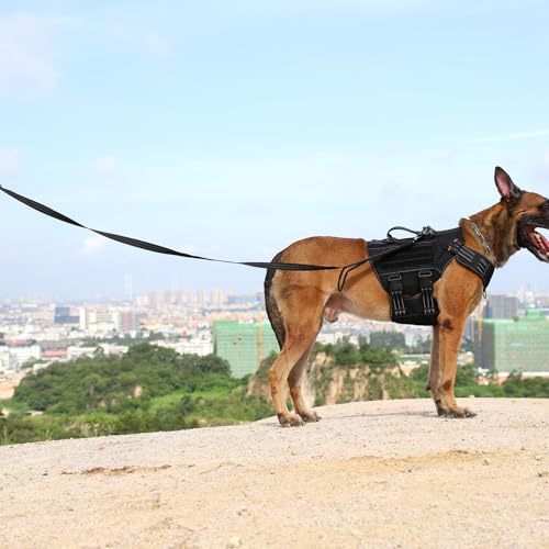 ICEFANG Relfective Dog Leash for Medium Large Dogs,K9 Training Walking Lead with Double Handle,Heavy Duty Auto-Lock Metal Clasp (6ft, Black) - color: Black, size: 6 ft (No bungee)