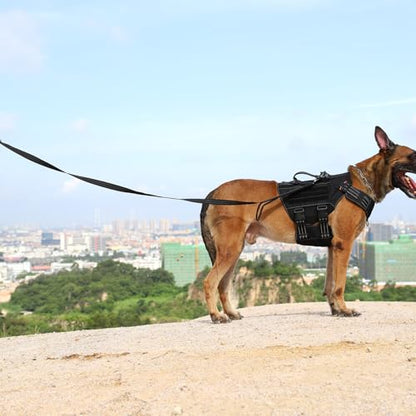 ICEFANG Relfective Dog Leash for Medium Large Dogs,K9 Training Walking Lead with Double Handle,Heavy Duty Auto-Lock Metal Clasp (6ft, Black) - color: Black, size: 6 ft (No bungee)