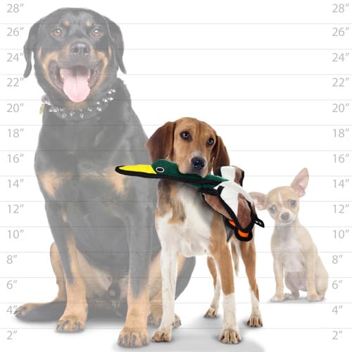 TUFFY World’s Tuffest Soft Dog Toy – Barnyard JR Series, Duck with Squeakers - color: Duck, size: Jr