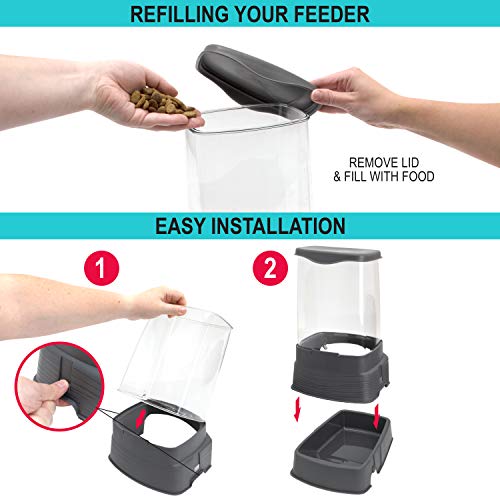 Sport Pet Gravity Feeder and Waterer, Small - color: Small Gray
