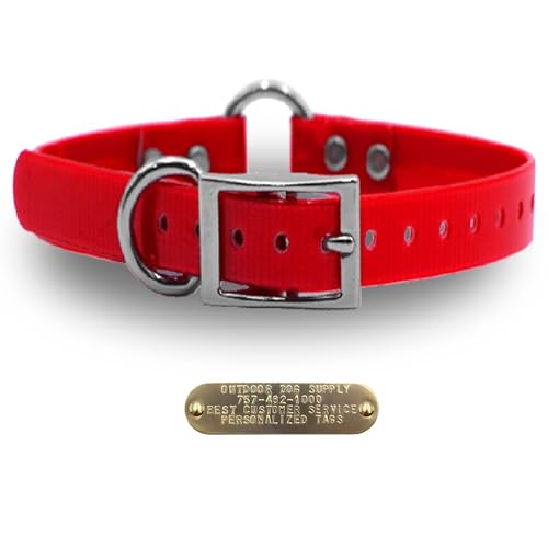 Outdoor Dog Supply 1" Heavy Duty Waterproof D-Ring & Center O-Ring Dog Collar for Medium & Large Dogs | Custom 3/4" Brass Nameplate (Red, 21") - color: Red, size: 21" Long