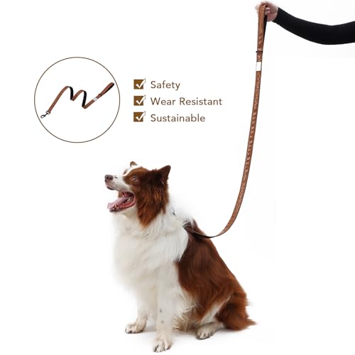 Soft Leather 4ft Dog Collar and Leash Set,Stylish 4ft PU Leather Dog Training Leash, Adjustable Durable Pet Collars with Quick Release Buckle for Large Dogs,Medium Dogs,Terracotta (terracotta, 4 feet) - color: terracotta