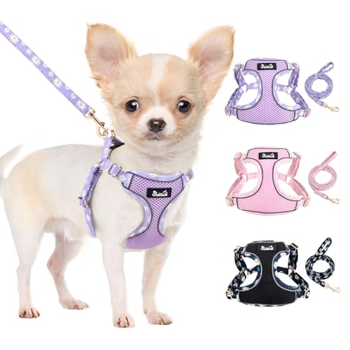 SlowTon Small Dog Harness - No Pull Dog Harness and Leash Set, Soft Mesh Lightweight Puppy Vest Harnesses, Adjustable Pet Harnesses for XXS XS Small Medium Easy Walk Hiking (Purple, S) - color: 2.Purple Daisy, size: Small