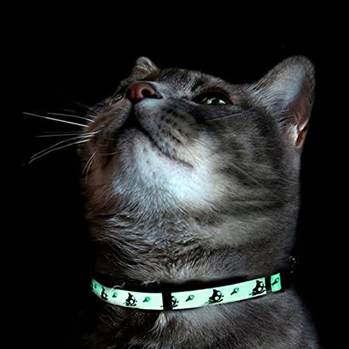 Pawtitas Glow in the Dark Cat Collar – Safety Buckle & Removable Bell, Adjustable Kitten Collar, Orange - color: GID Orange