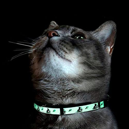 Pawtitas Glow in the Dark Cat Collar – Safety Buckle & Removable Bell, Adjustable Kitten Collar, Orange - color: GID Orange