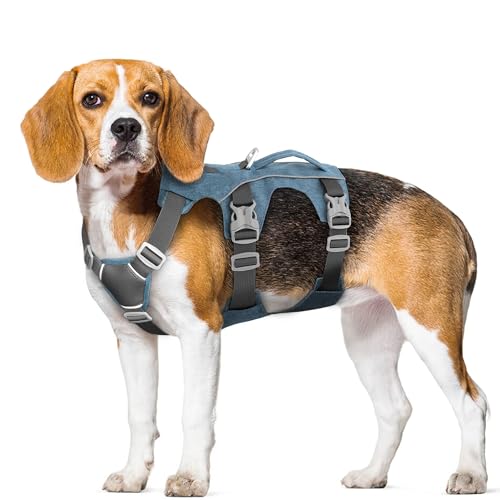 Escape Proof Dog Harness Small Sized Dog, Reflective No Pull Dog Vest with Handle, Lightweight Full Body Pet Harness Adjustable for Walking,Training(Blue,Chest:16-27") - color: Blue, size: S: Chest 16-27", Fit 12-25 lbs