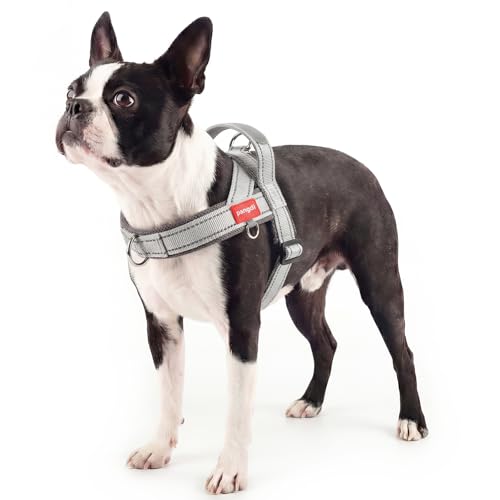 No Pull Dog Harness with Handle, Yorkie Adjustable Reflective Dog Vest, Breathable Air Mesh Padded Pet Harness with Front Leash Clip for Small Medium Dogs, Light Grey, S - color: Light Grey, size: Small