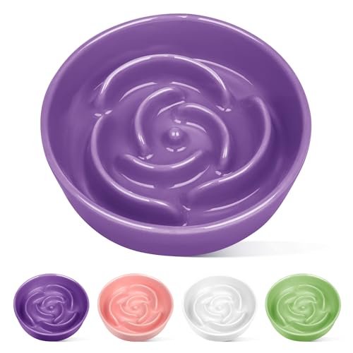 Ceramic Slow Feeder Dog Bowls, 1.5 Cup Puzzle Slow Feeder Bowls for Fast Eaters, Ceramic Dog Food Dish no Black Chin, Puzzle Bowl for Medium Dogs, Purple - color: 03-Purple, size: M-1.5 Cups