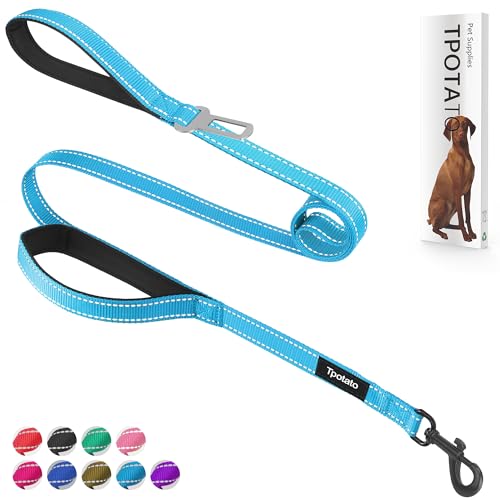 6 Foot Blue Dog Leashes for Large Medium and Small Breed Dogs That Pull,Reflective Nylon Heavy Duty Dog Leash with 2 Comfortable Padded Traffic Handles and Car Seat Belt for Walking and Training - color: Sky blue